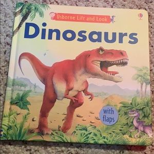 Dinosaurs with flaps Book